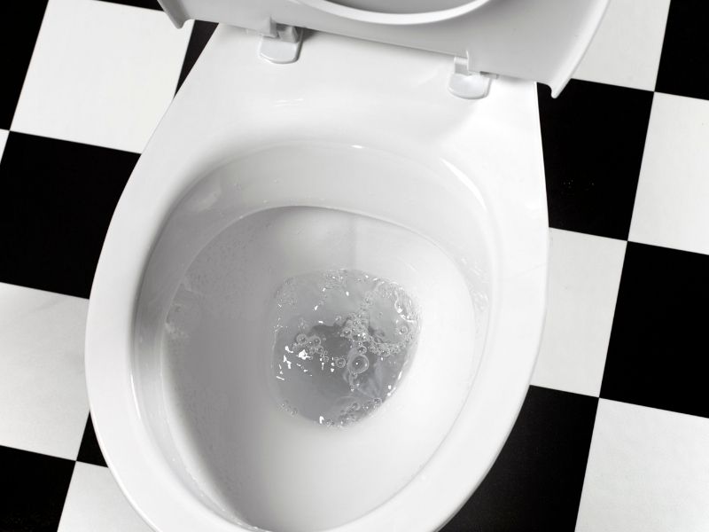 Toilet Bowl Not Filling with Water after Flush: Fixes