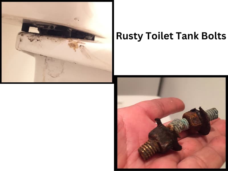 Rusty Toilet Tank Bolts