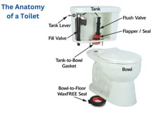 Parts of a toilet