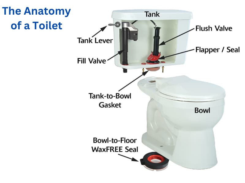 Parts of a toilet